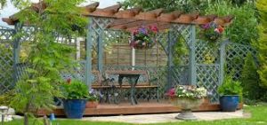 How Do Trellis Lattice Panels Enhance Your Garden?