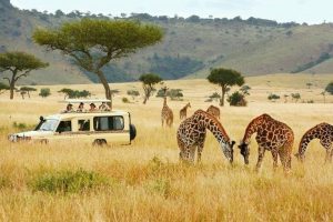 5 Unforgettable Luxury Safari Experiences in Kenya