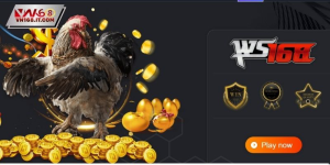  Step-by-Step Guide to Joining and Playing Cockfighting at VN168