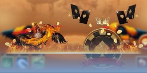 Cockfight Hengongbet Live Platform for Smart Market Decisions