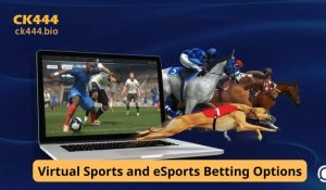 Sports-Related Gaming Options Available on CK444