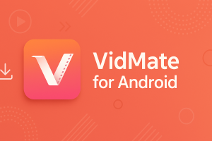 VidMate Ad Free: Cleaner and Fastest to download in media.